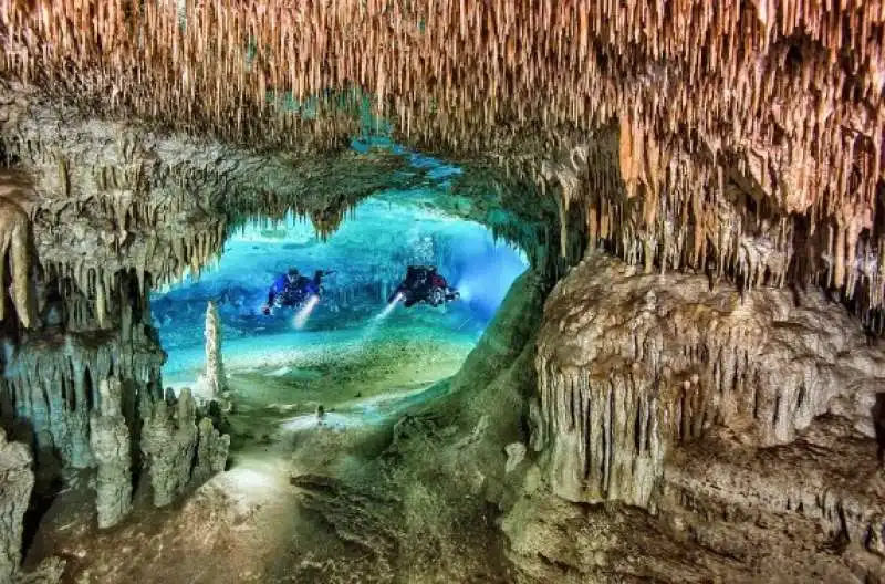 underwater photographer of the year 71