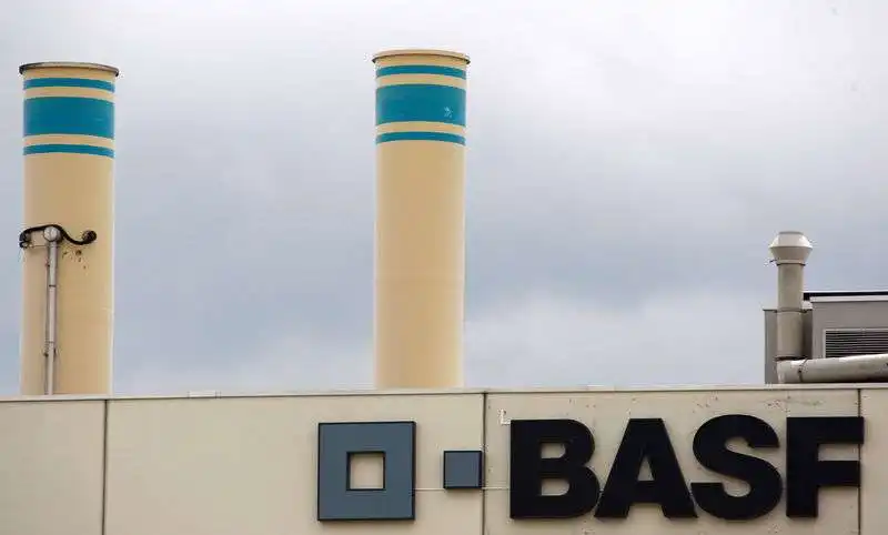 basf 1