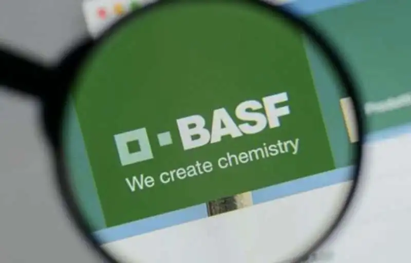 basf 6