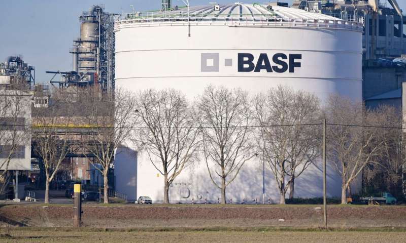 basf 8