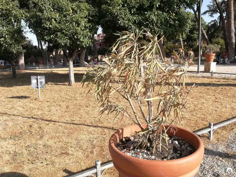 degrado al giardino degli aranci di roma 13