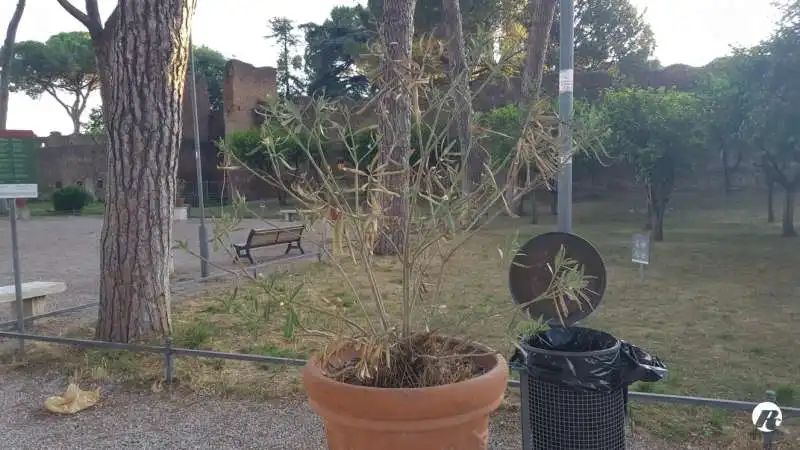 degrado al giardino degli aranci di roma 7