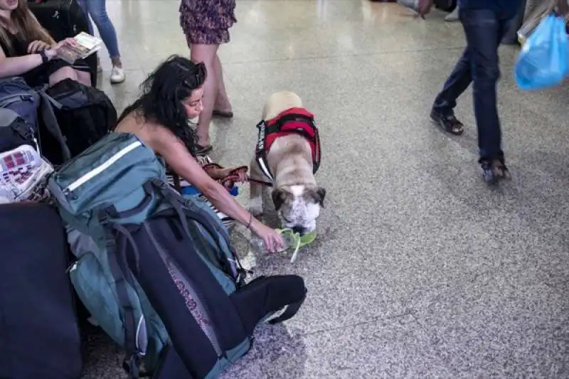 disagi e ritardi alla stazione termini dopo l'incendio a firenze rovezzano 10