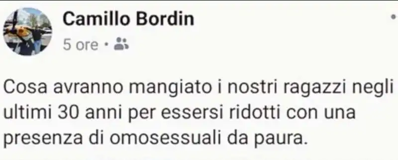 il post di camillo bordin contro i gay