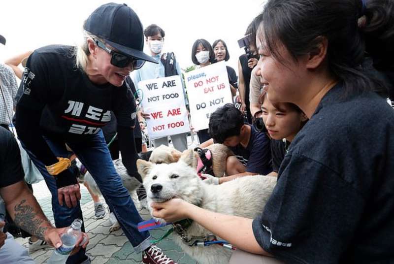 kim basinger contro la carne di cane in corea del sud 6