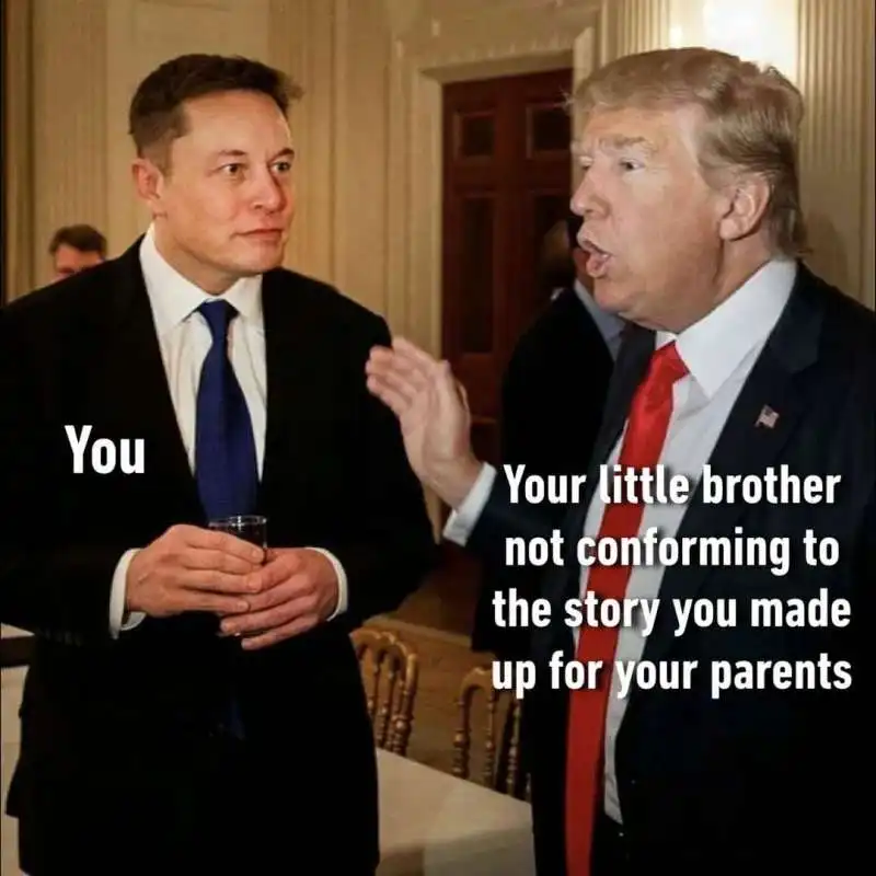 meme su elon musk e donald trump