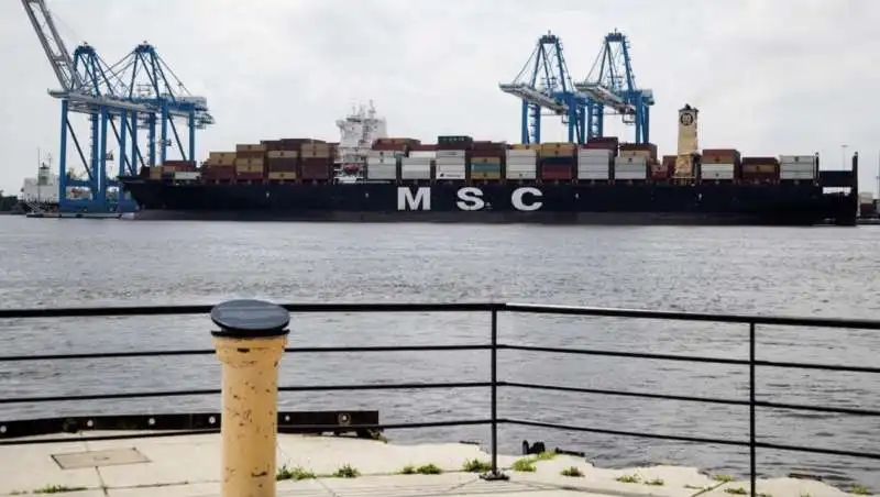 msc gayane 4