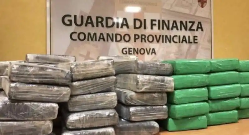 operazione nevischio   sequestrati 500 kg di cocaina a genova 1