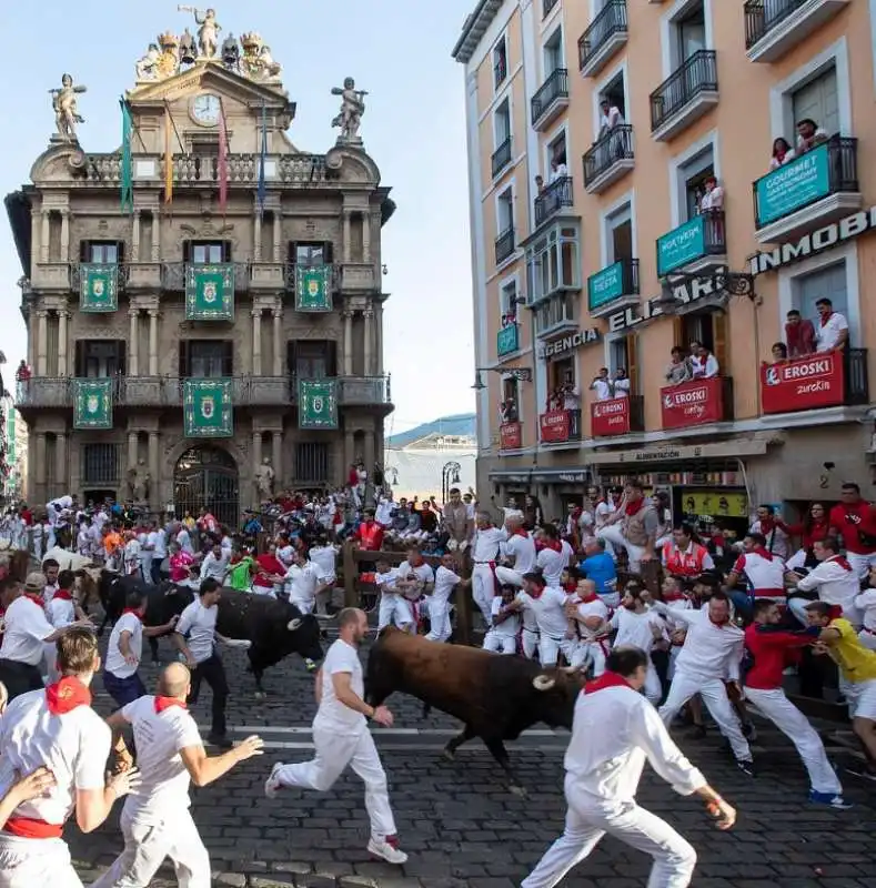 pamplona 13