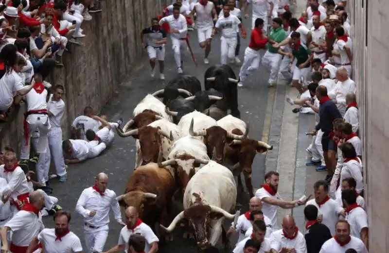 pamplona 5