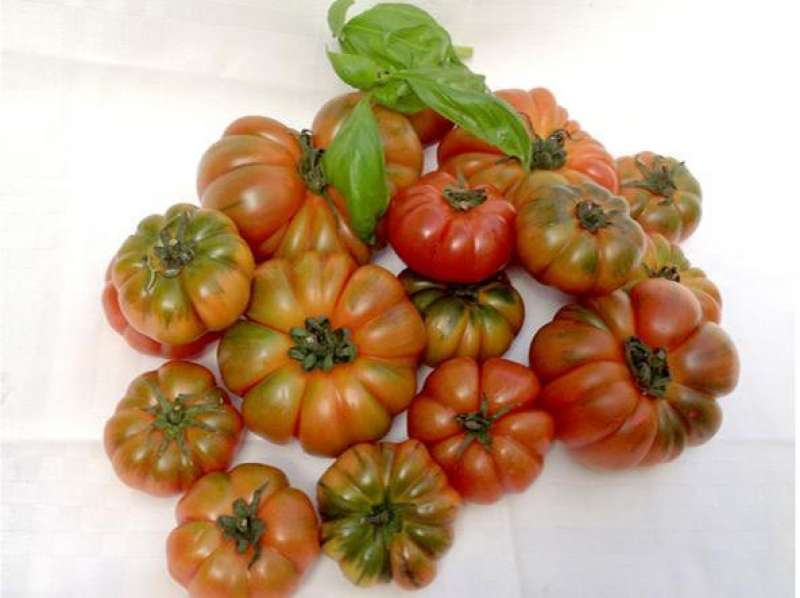 pomodori