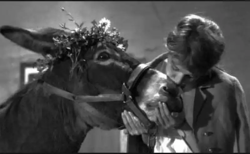 Robert Bresson Au hasard Balthazar 