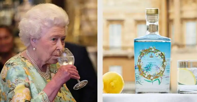 buckingham palace dry gin