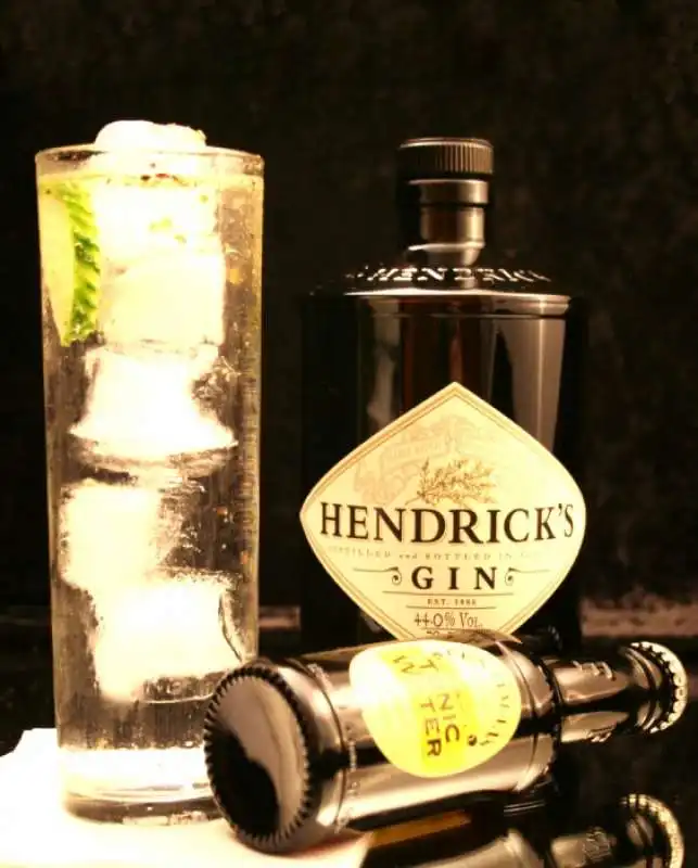 hendrick's gin 