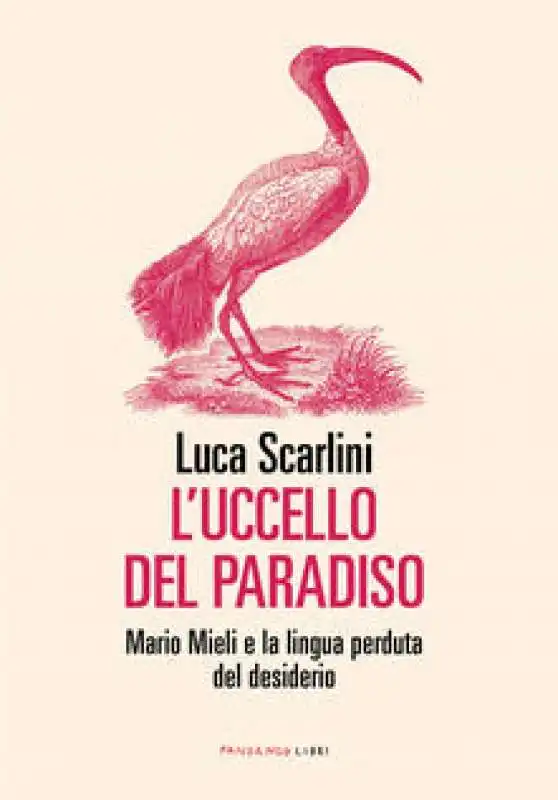 l'uccello del paradiso luca scarlini