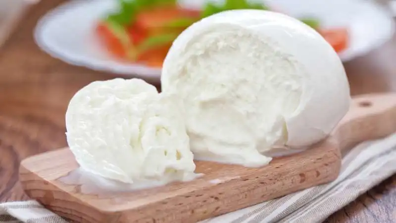 mozzarella