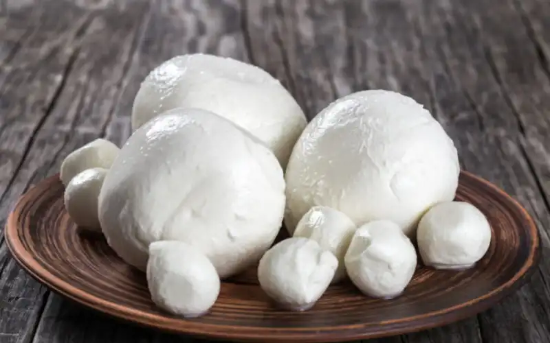  mozzarella1