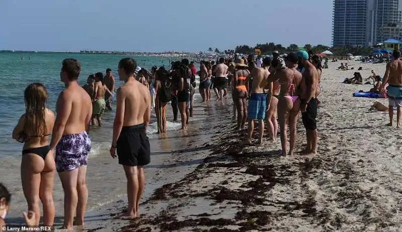 persone in spiaggia a miami nonostante il coronavirus   2 luglio 2020