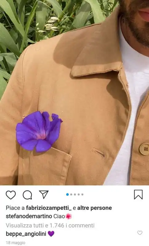 stefano de martino con fiore viola come quelli di alessia marcuzzi