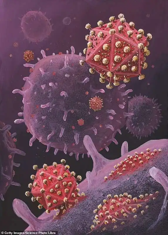 VIRUS HIV