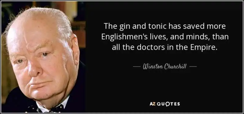 winston churcill gin tonic 