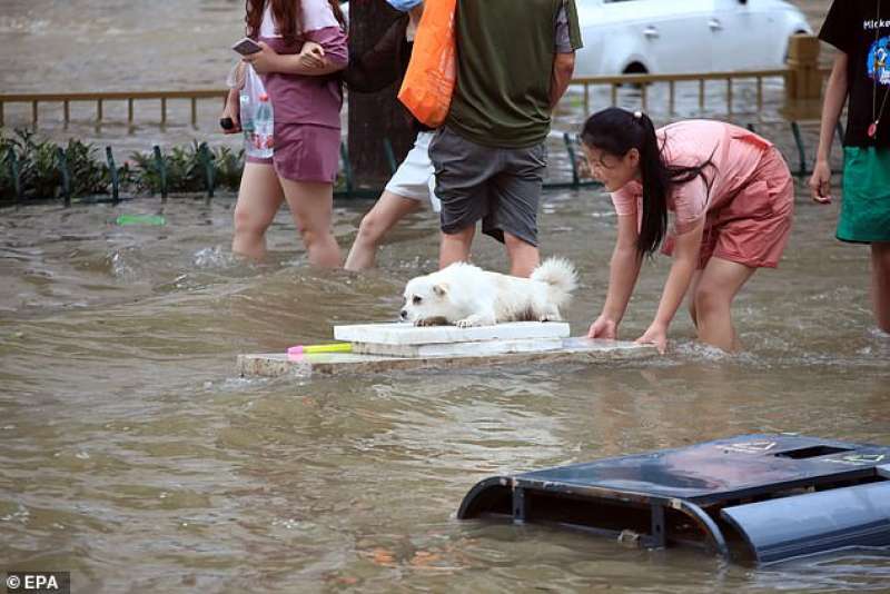 alluvione in cina 10