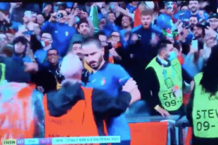 bonucci steward