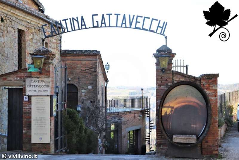 cantina gattavecchi montepulciano 2