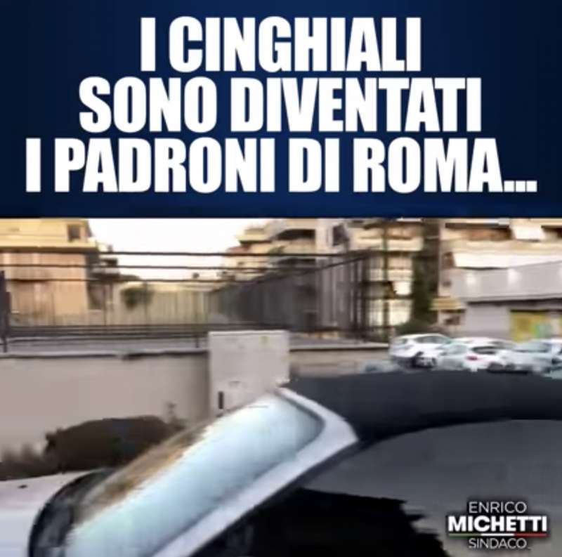 cinghiali a spasso per roma il video di michetti 2