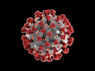 coronavirus