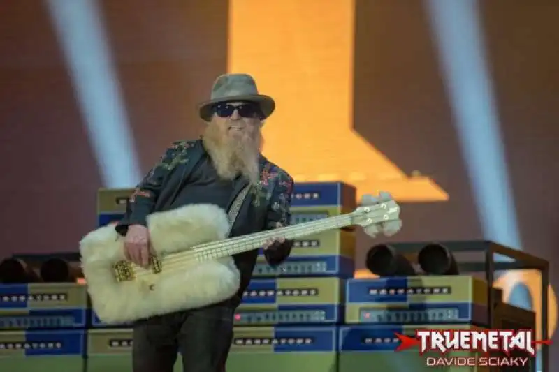 dusty hill 11