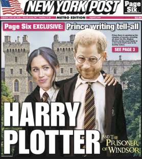 harry plotter