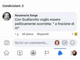 il commento omofobo di rosamaria sorge