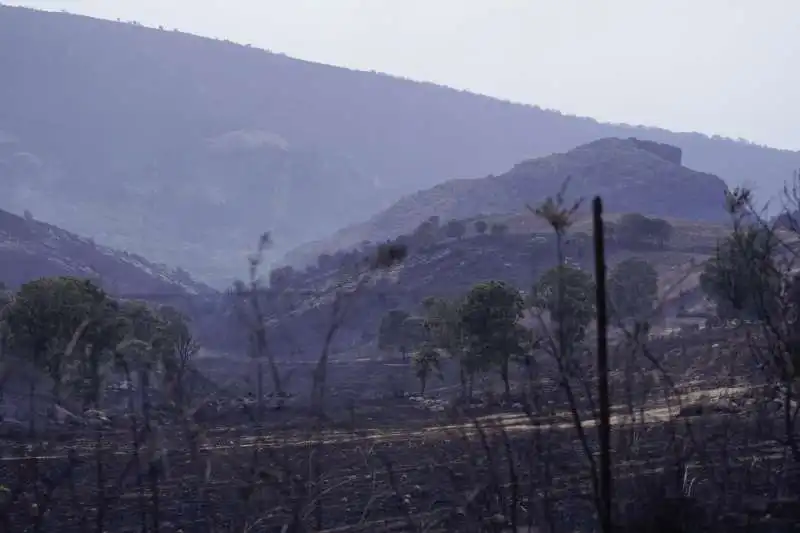 incendi in sardegna 3