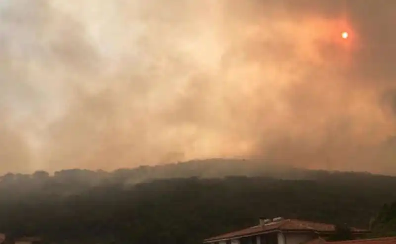 incendio montiferru   oristano   5