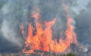 montiferru in fiamme