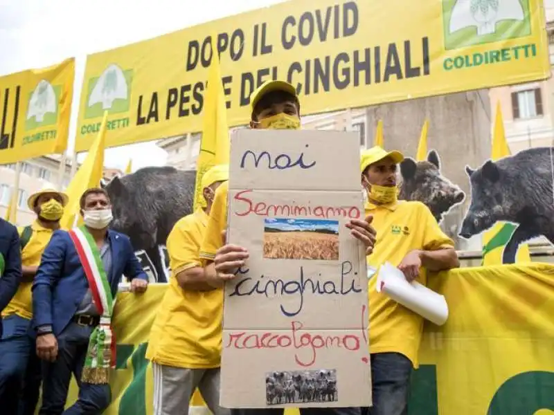 protesta contro i cinghiali