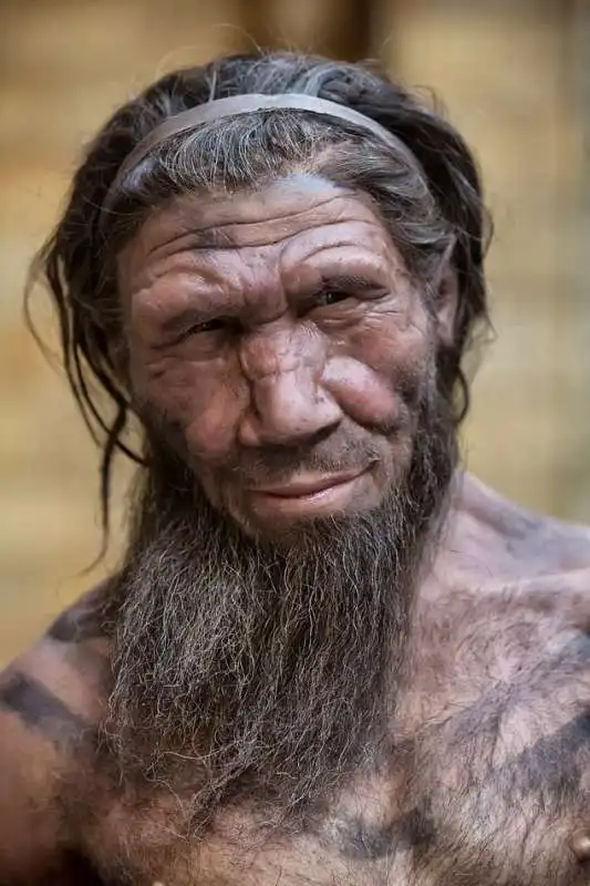 Uomo di Neanderthal