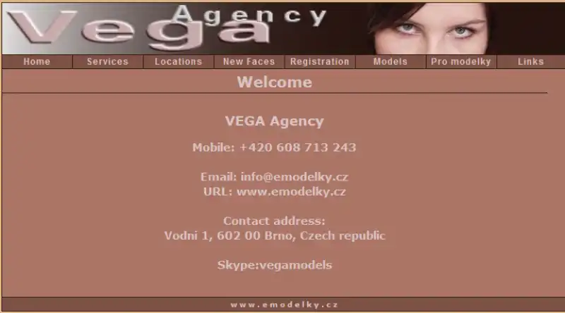 vega agency (1)