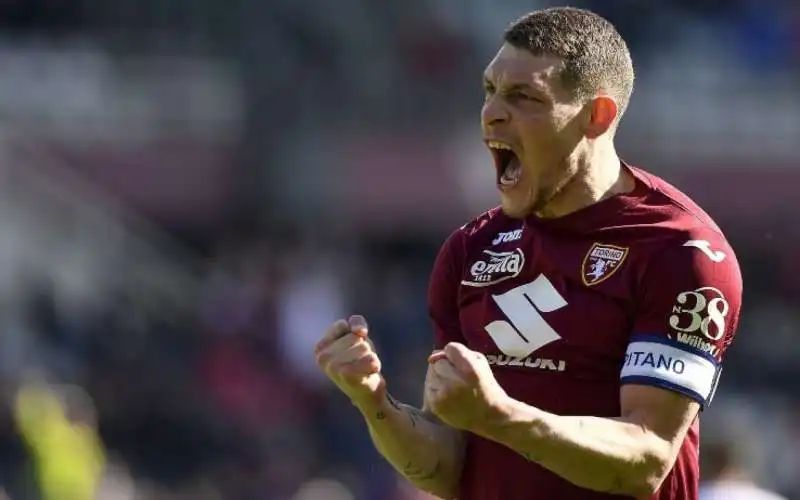 andrea belotti 