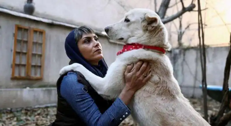 ANIMALI DOMESTICI IN IRAN 