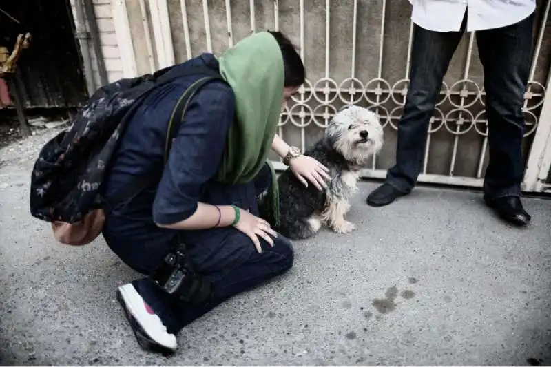 ANIMALI DOMESTICI IN IRAN 