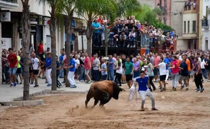 bous al carrer tori 9