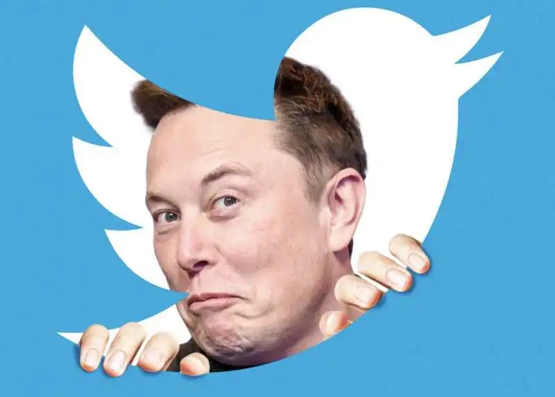 ELON MUSK TWITTER 