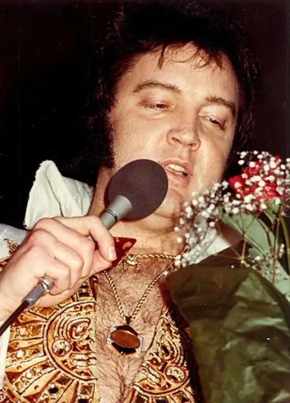 elvis presley 2