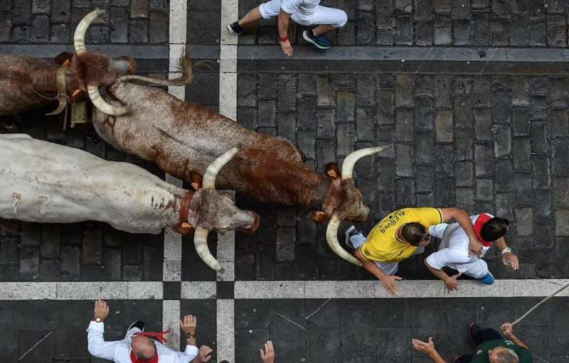 festa di san firmino a pamplona 11