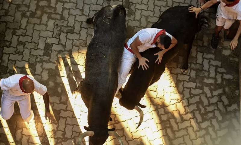 festa di san firmino a pamplona 20224