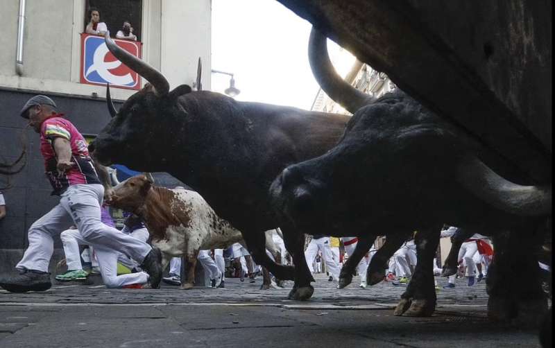 festa di san firmino a pamplona 20227