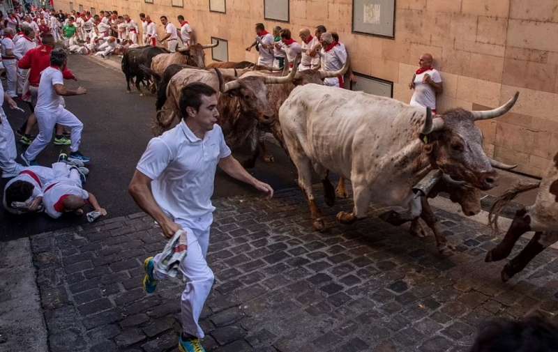 festa di san firmino a pamplona 4