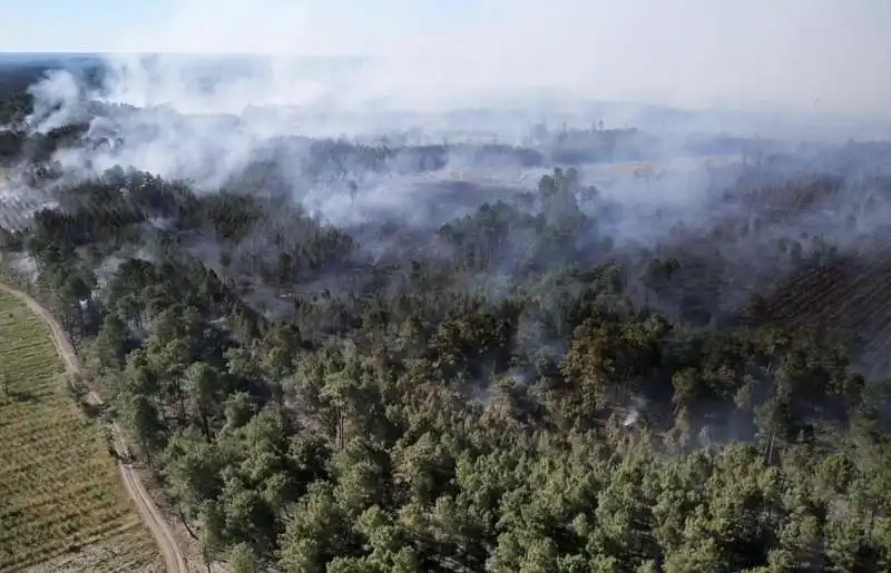 foresta in fiamme a landiras, francia 